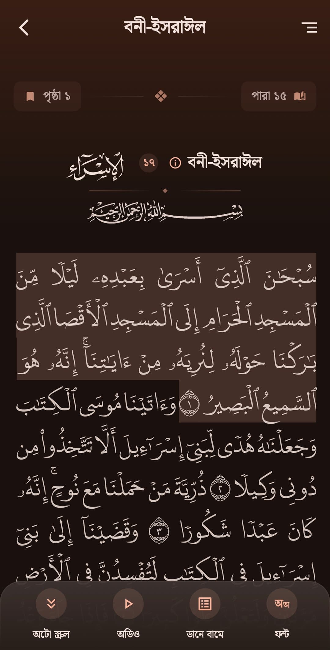 App Screenshot Dark - 15-Line Hafezi Quran View