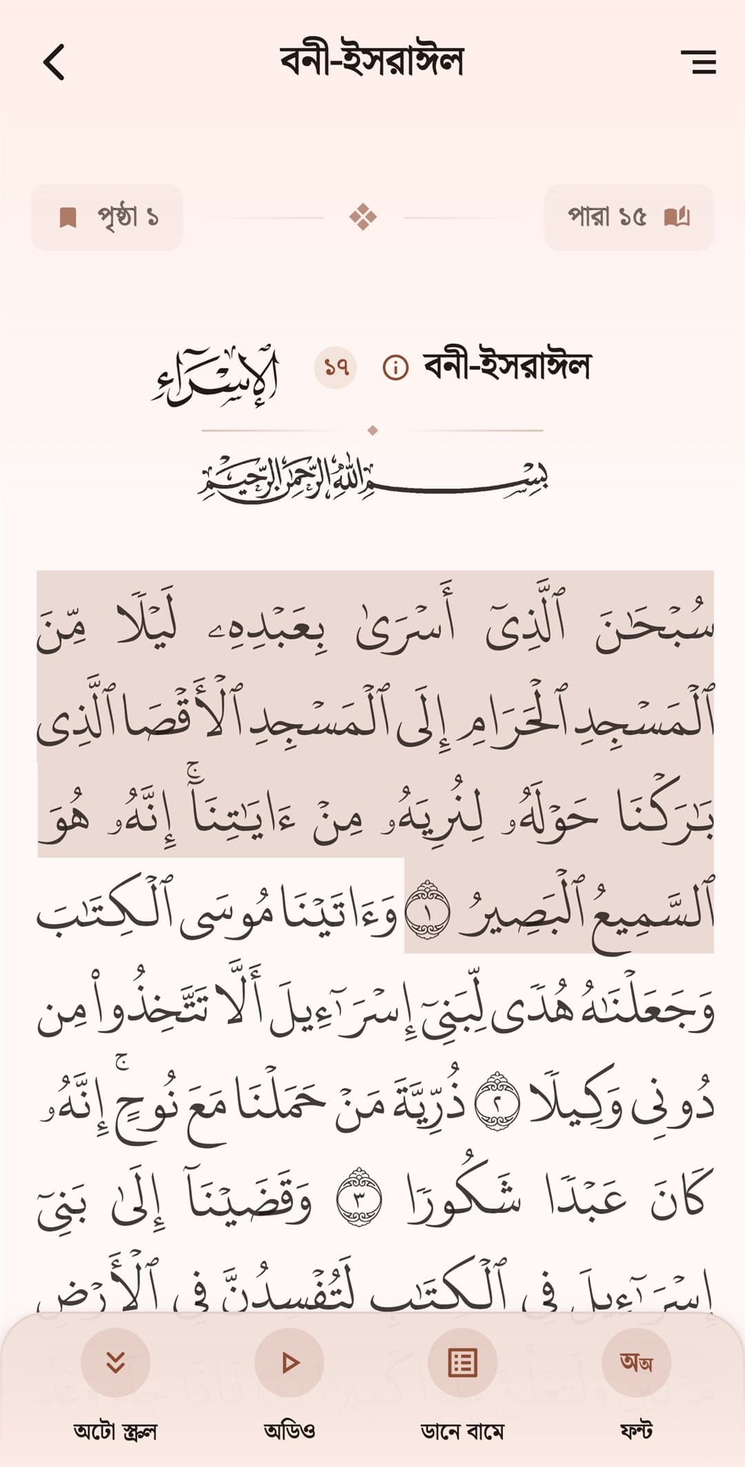 App Screenshot - 15-Line Hafezi Quran View